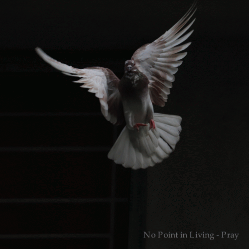 No Point In Living : Pray No Point In Living : Pray